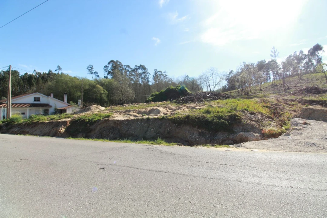 Terreno Agricola ou Rústico para Venda em Leiria, Pousos, Barreira e Cortes Foto 3