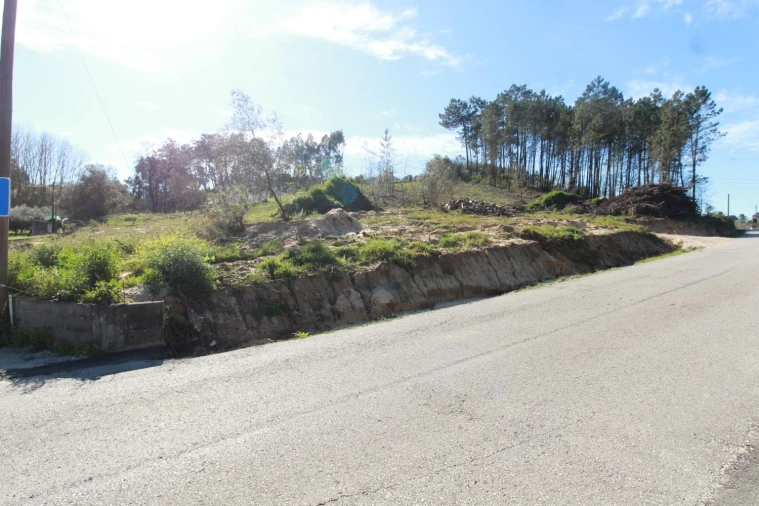 Terreno Agricola ou Rústico para Venda em Leiria, Pousos, Barreira e Cortes