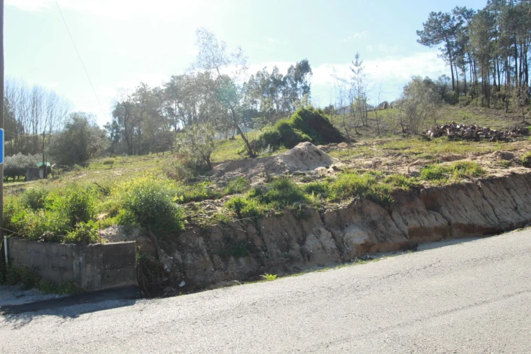 Terreno Agricola ou Rústico para Venda em Leiria, Pousos, Barreira e Cortes Foto 2