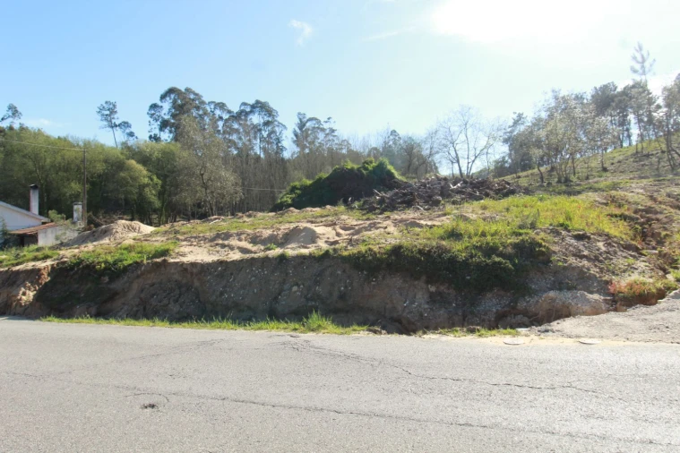 Terreno Agricola ou Rústico para Venda em Leiria, Pousos, Barreira e Cortes Foto 4