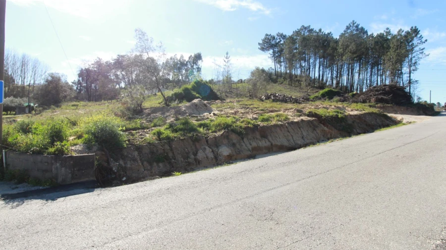 Terreno Agricola ou Rústico para Venda em Leiria, Pousos, Barreira e Cortes