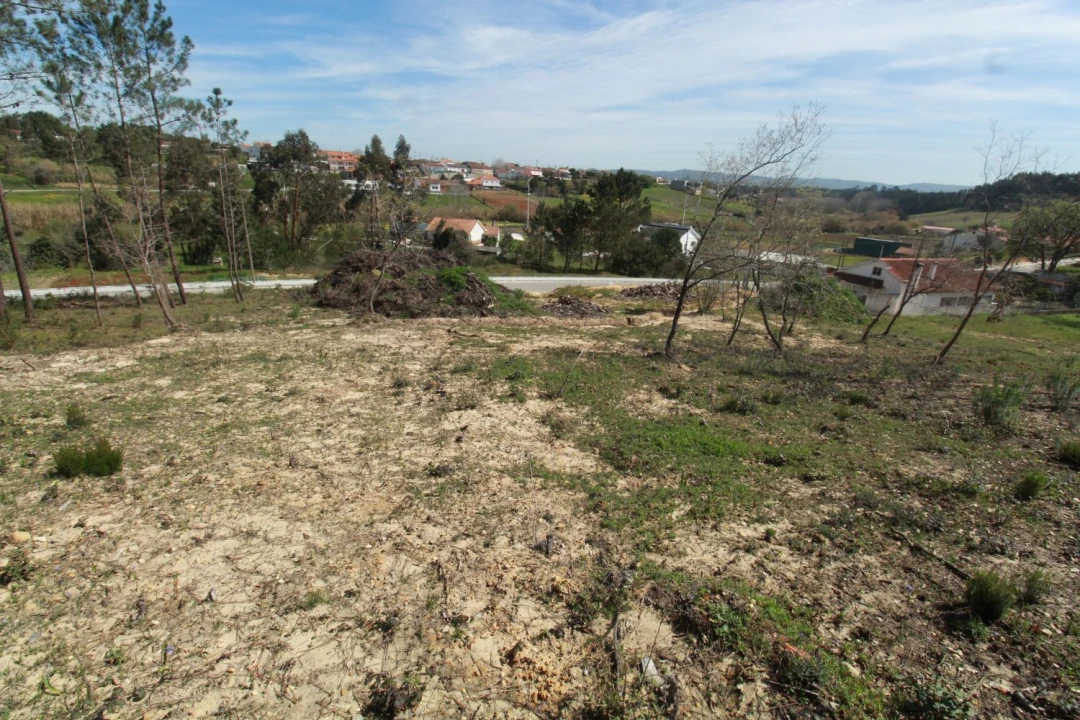 Terreno Agricola ou Rústico para Venda em Leiria, Pousos, Barreira e Cortes Foto 3