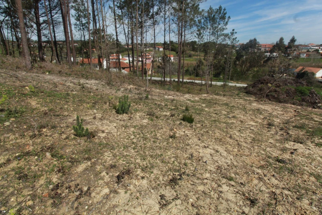 Terreno Agricola ou Rústico para Venda em Leiria, Pousos, Barreira e Cortes Foto 4