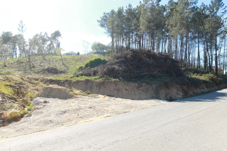 Terreno Agricola ou Rústico para Venda em Leiria, Pousos, Barreira e Cortes Foto 1