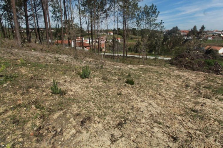 Terreno Agricola ou Rústico para Venda em Leiria, Pousos, Barreira e Cortes Foto 4