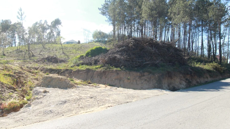 Terreno Agricola ou Rústico para Venda em Leiria, Pousos, Barreira e Cortes