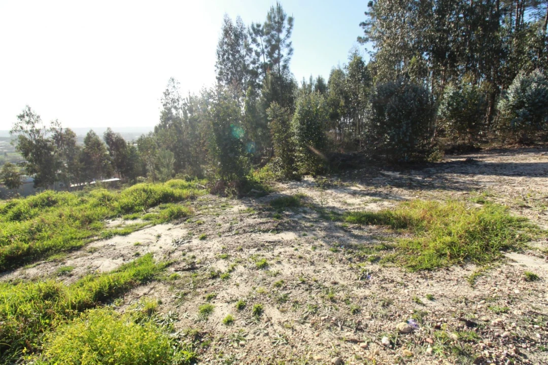 Terreno Agricola ou Rústico para Venda em Regueira de Pontes Foto 2