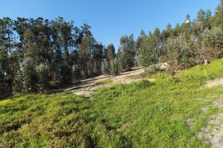 Terreno Agricola ou Rústico para Venda em Regueira de Pontes Foto 4