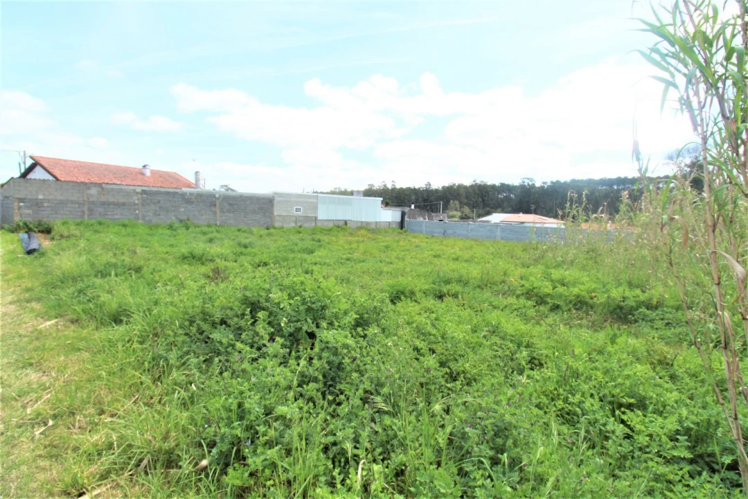 Terreno Agricola ou Rústico para Venda em Marinha Grande Foto 1