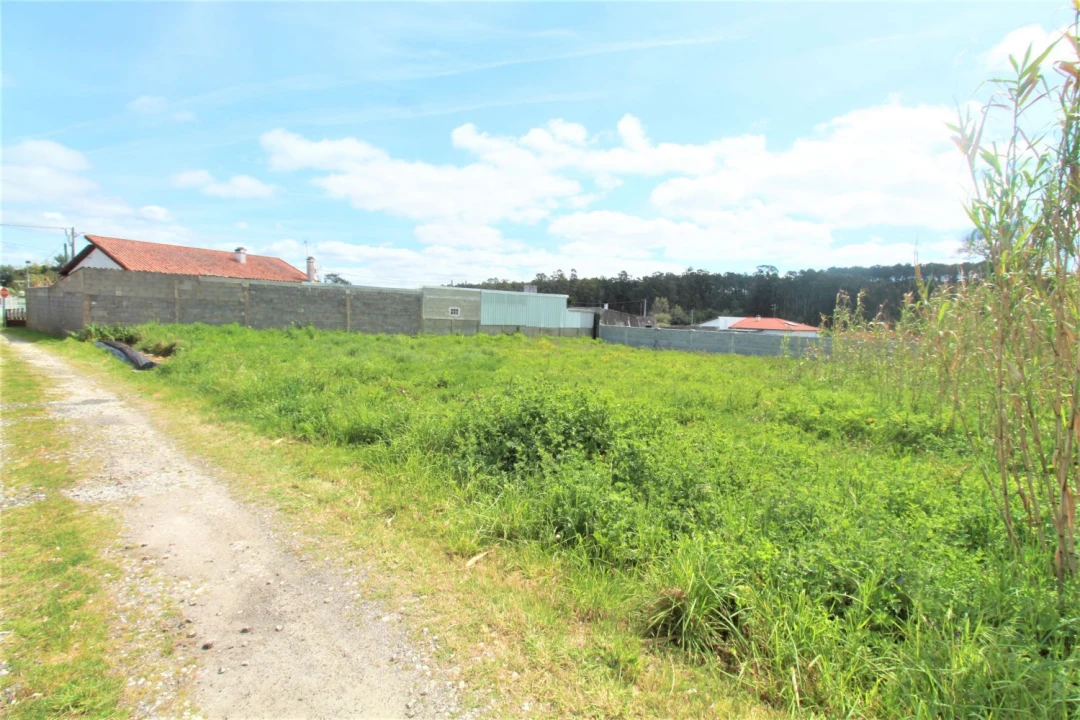 Terreno Agricola ou Rústico para Venda em Marinha Grande Foto 2