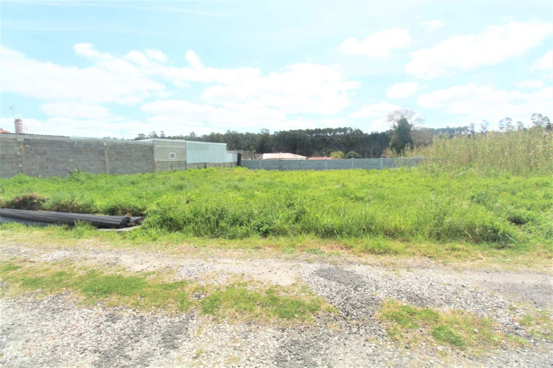 Terreno Agricola ou Rústico para Venda em Marinha Grande Foto 3