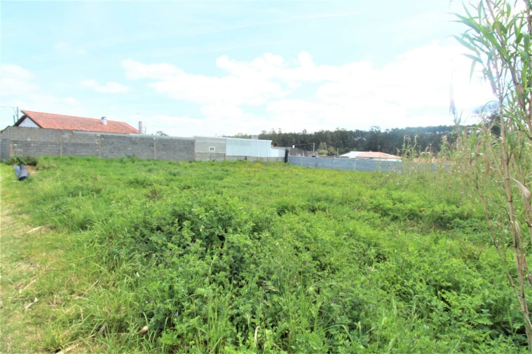 Terreno Agricola ou Rústico para Venda em Marinha Grande