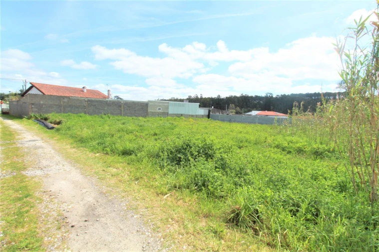 Terreno Agricola ou Rústico para Venda em Marinha Grande Foto 2