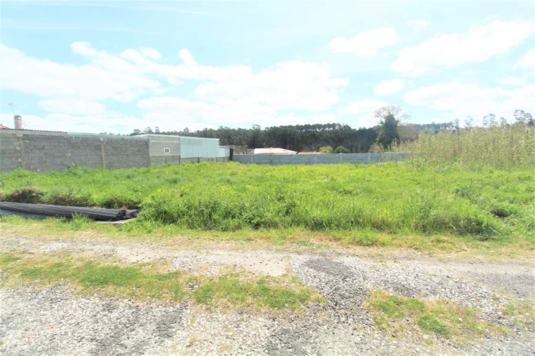 Terreno Agricola ou Rústico para Venda em Marinha Grande Foto 3