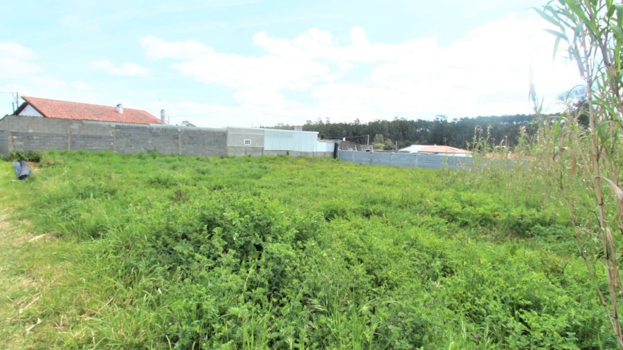 Terreno Agricola ou Rústico para Venda em Marinha Grande