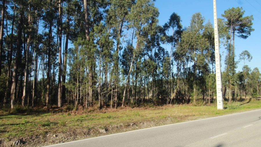 Terreno Agricola ou Rústico para Venda em Marinha Grande