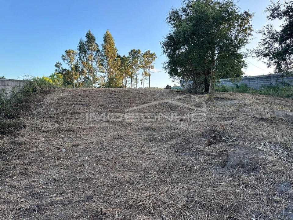Terreno Agricola ou Rústico para Venda em Marinha Grande Foto 10
