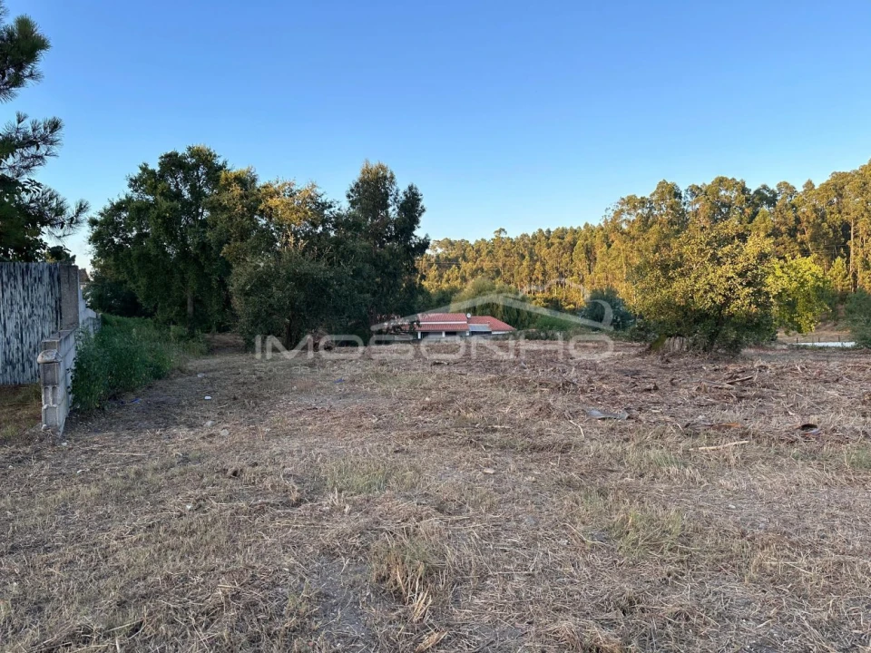 Terreno Agricola ou Rústico para Venda em Marinha Grande Foto 6