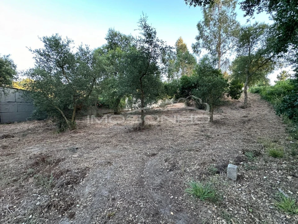 Terreno Agricola ou Rústico para Venda em Marinha Grande Foto 7