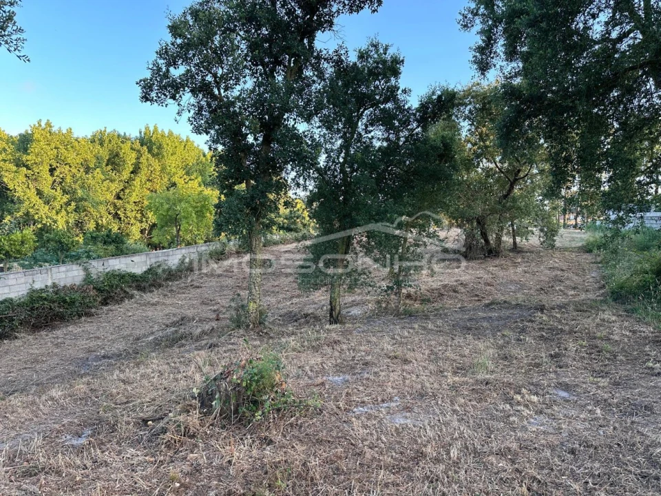 Terreno Agricola ou Rústico para Venda em Marinha Grande Foto 8