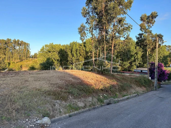 Terreno Agricola ou Rústico para Venda em Marinha Grande Foto 4