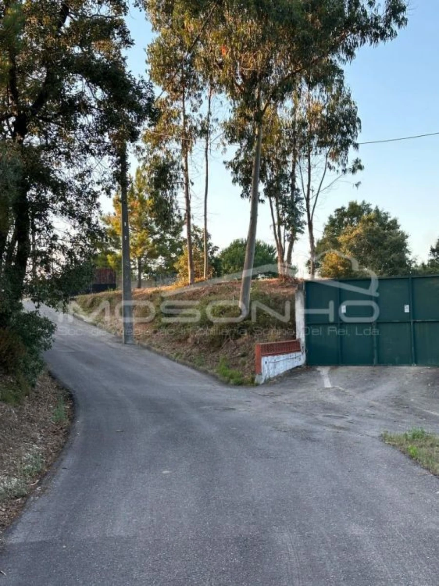 Terreno Agricola ou Rústico para Venda em Marinha Grande Foto 5