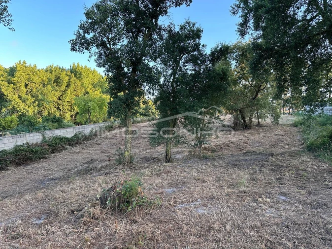 Terreno Agricola ou Rústico para Venda em Marinha Grande Foto 8