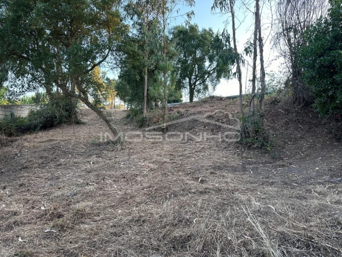 Terreno Agricola ou Rústico para Venda em Marinha Grande Foto 9