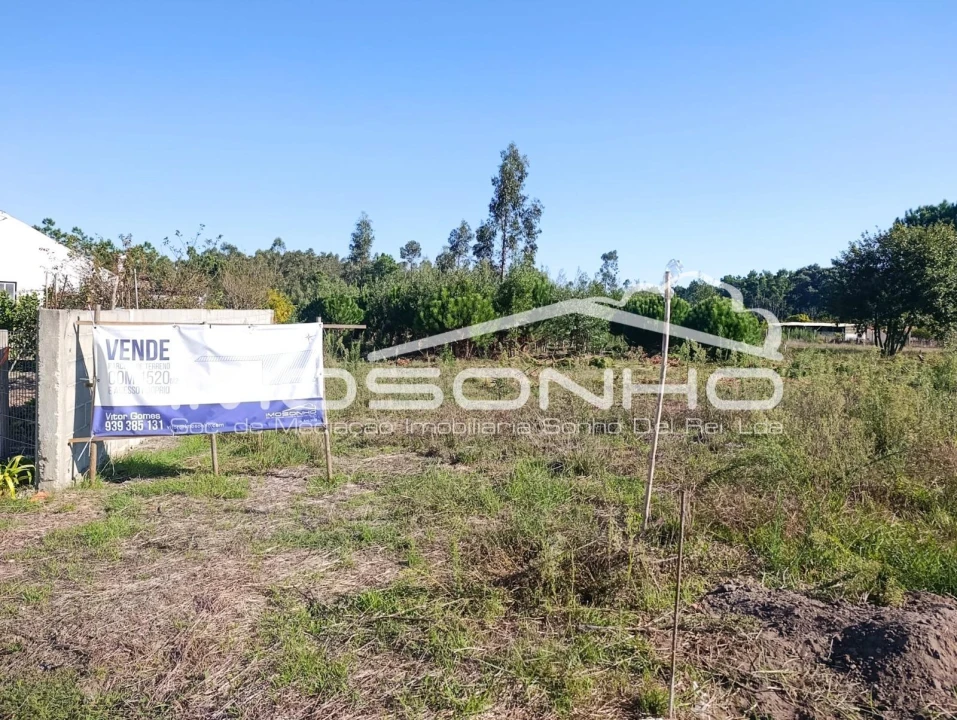 Terreno Agricola ou Rústico para Venda em Marinha Grande Foto 3