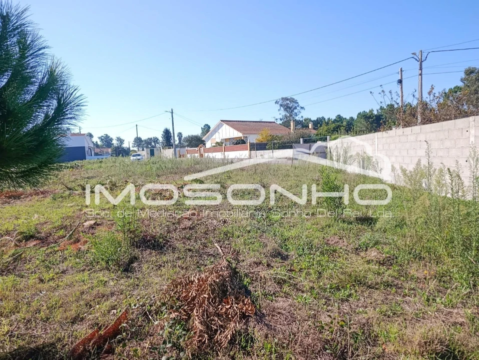 Terreno Agricola ou Rústico para Venda em Marinha Grande Foto 5