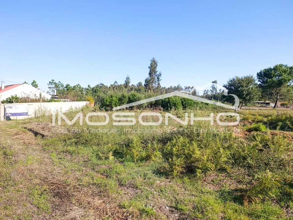 Terreno Agricola ou Rústico para Venda em Marinha Grande Foto 8