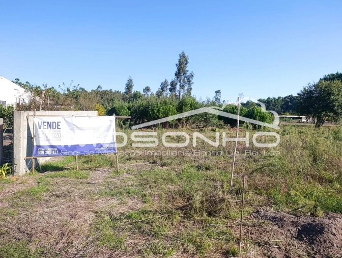 Terreno Agricola ou Rústico para Venda em Marinha Grande Foto 3