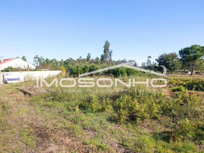 Terreno Agricola ou Rústico para Venda em Marinha Grande Foto 8