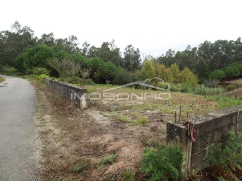 Terreno Agricola ou Rústico para Venda em Souto da Carpalhosa e Ortigosa Foto 2
