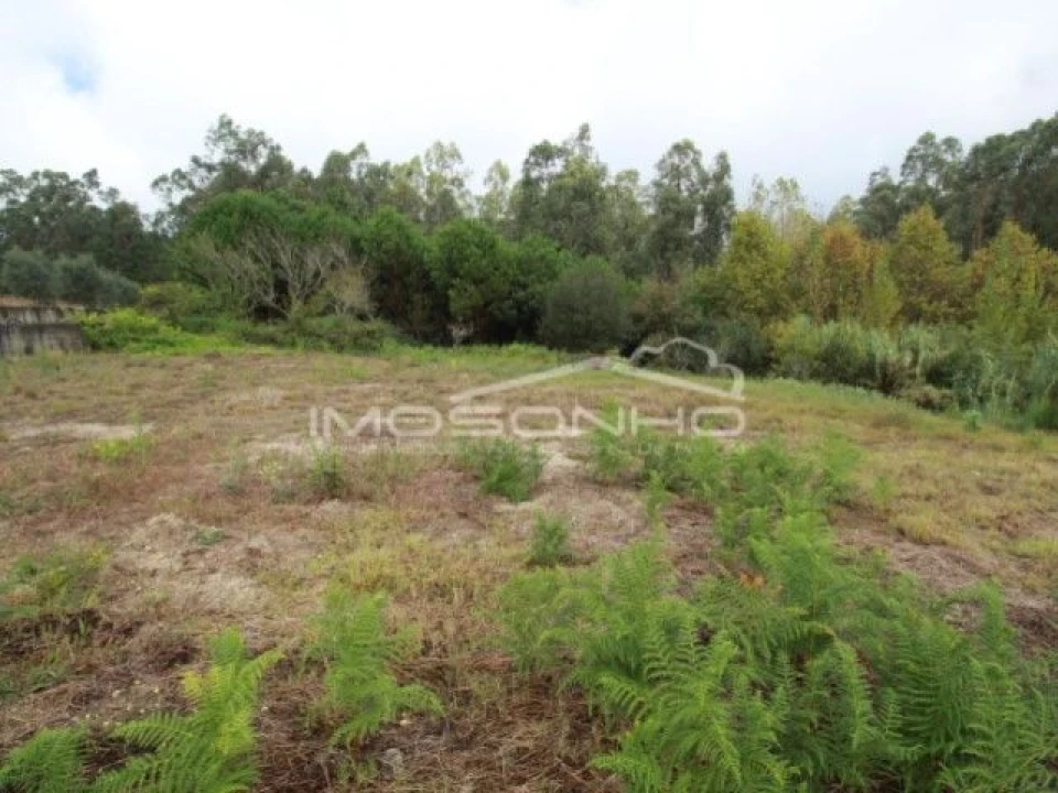 Terreno Agricola ou Rústico para Venda em Souto da Carpalhosa e Ortigosa Foto 6