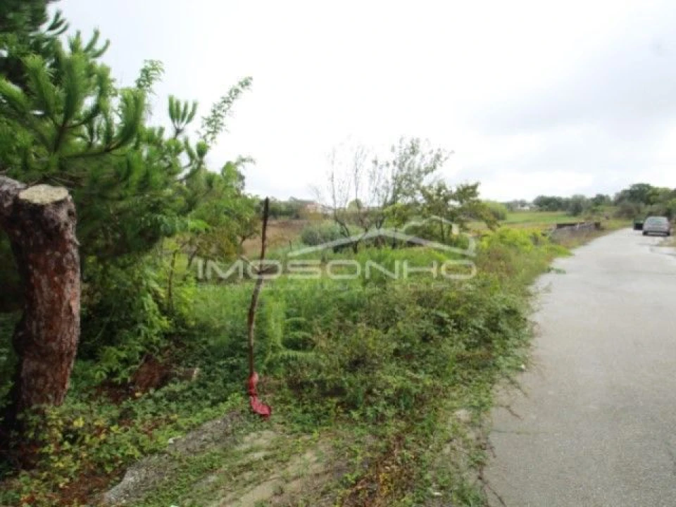 Terreno Agricola ou Rústico para Venda em Souto da Carpalhosa e Ortigosa Foto 7