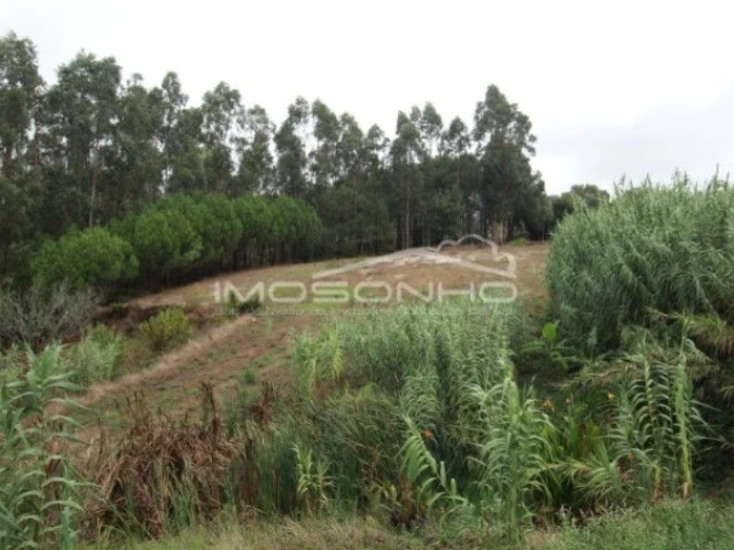 Terreno Agricola ou Rústico para Venda em Souto da Carpalhosa e Ortigosa Foto 3