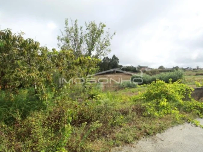 Terreno Agricola ou Rústico para Venda em Souto da Carpalhosa e Ortigosa Foto 4