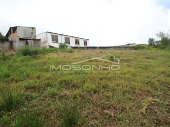 Terreno Agricola ou Rústico para Venda em Souto da Carpalhosa e Ortigosa Foto 5