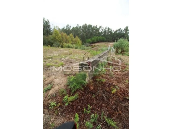 Terreno Agricola ou Rústico para Venda em Souto da Carpalhosa e Ortigosa Foto 9