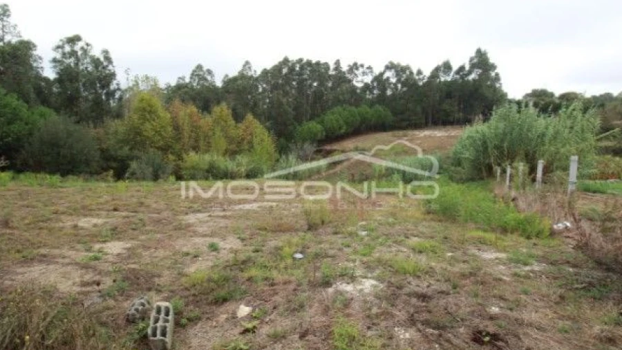 Terreno Agricola ou Rústico para Venda em Souto da Carpalhosa e Ortigosa