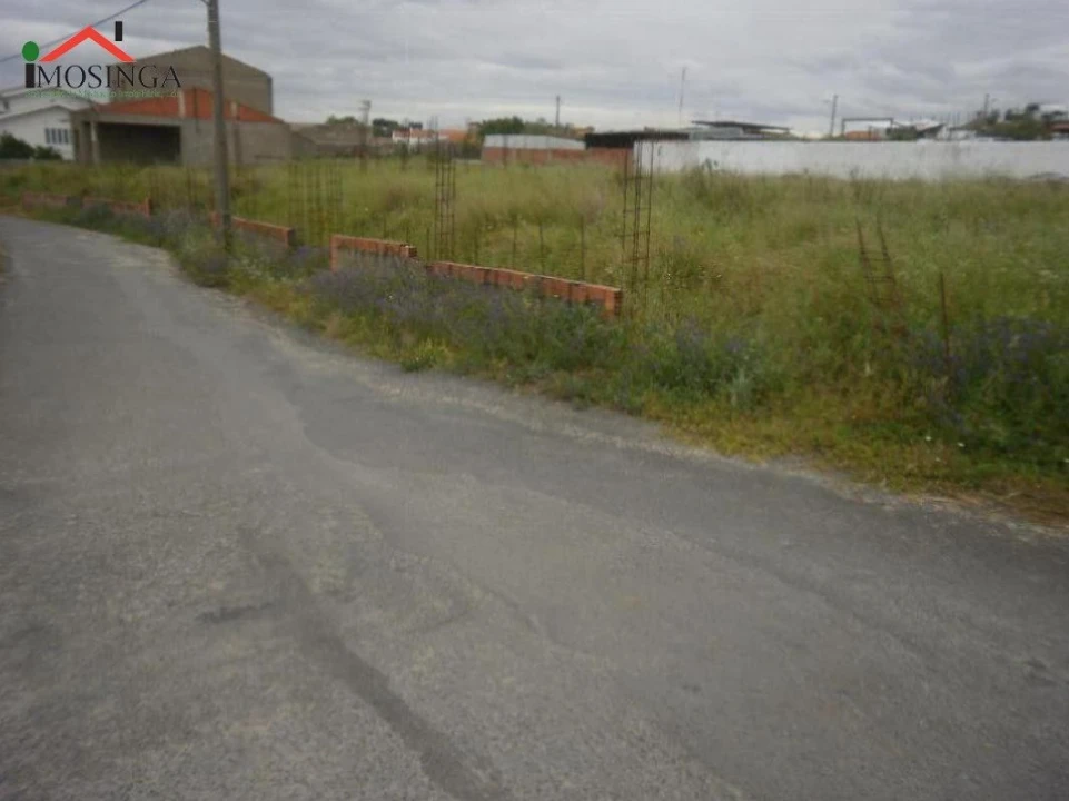 Terreno Agricola ou Rústico para Venda em Ferreira do Alentejo e Canhestros Foto 1