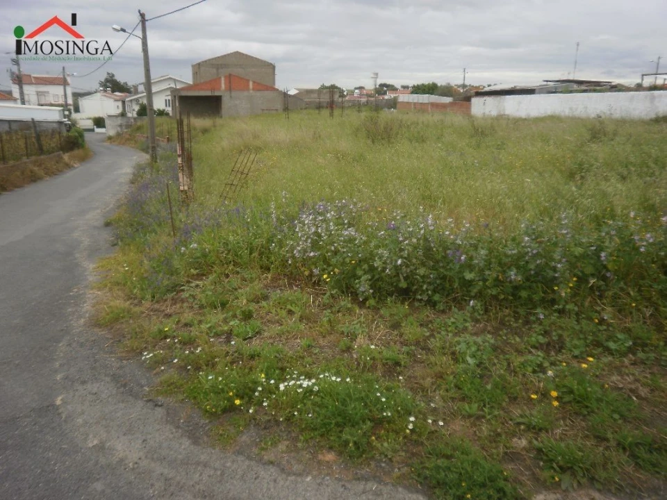 Terreno Agricola ou Rústico para Venda em Ferreira do Alentejo e Canhestros Foto 2