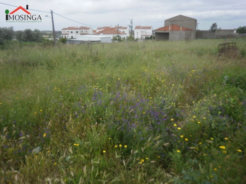 Terreno Agricola ou Rústico para Venda em Ferreira do Alentejo e Canhestros Foto 7