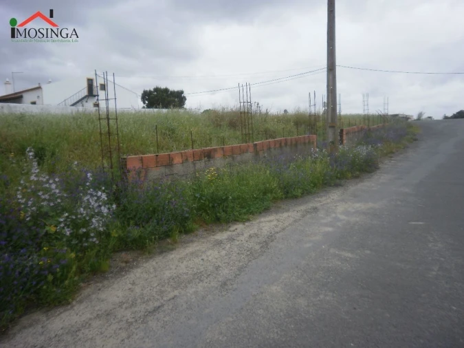 Terreno Agricola ou Rústico para Venda em Ferreira do Alentejo e Canhestros Foto 5