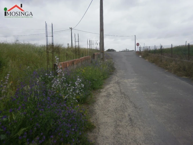 Terreno Agricola ou Rústico para Venda em Ferreira do Alentejo e Canhestros Foto 6