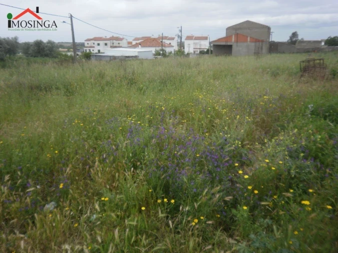 Terreno Agricola ou Rústico para Venda em Ferreira do Alentejo e Canhestros Foto 7