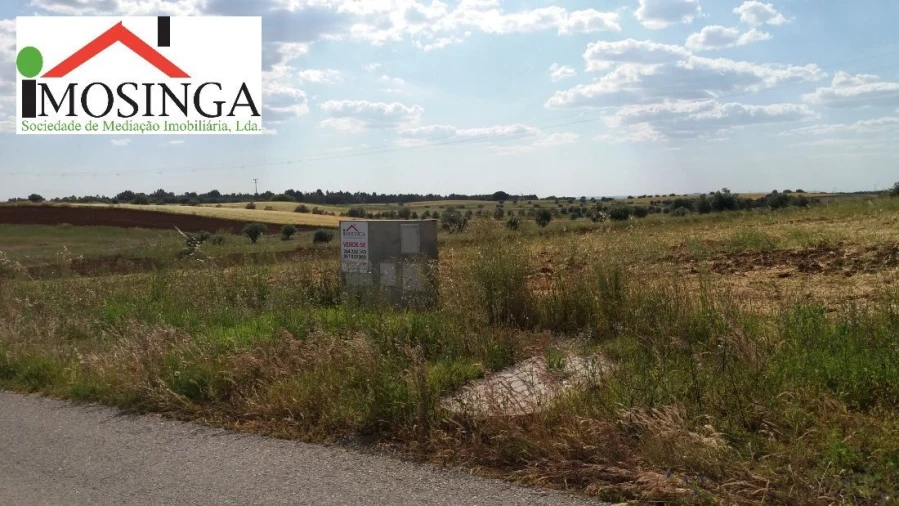 Terreno para Venda em Ferreira do Alentejo e Canhestros Foto 3