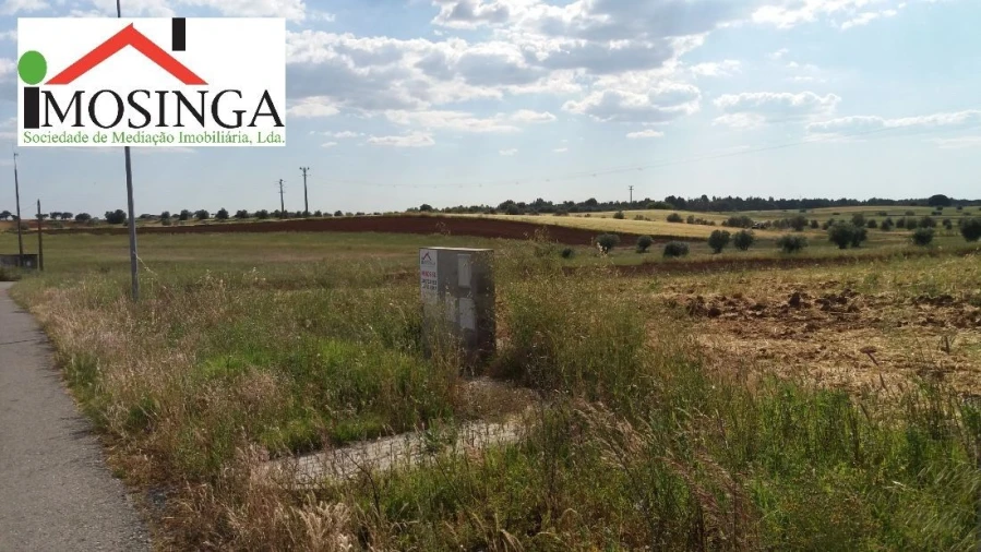 Terreno para Venda em Ferreira do Alentejo e Canhestros Foto 5