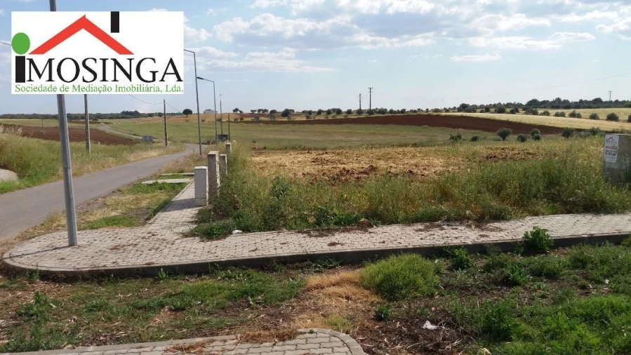 Terreno Agricola ou Rústico para Venda em Ferreira do Alentejo e Canhestros Foto 6